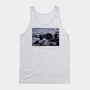 Crested Tern_VOA8026 Tank Top